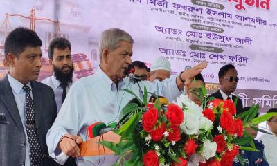 আইনের শাসন ও শক্তিশালী প্রতিষ্ঠানই গণতন্ত্রকে টিকিয়ে রাখে: মির্জা ফখরুল
