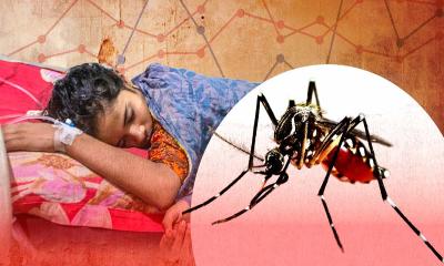 ডেঙ্গুতে ২৪ ঘণ্টায় ৬ জনের মৃত্যু হাসপাতালে ১৫৯৩