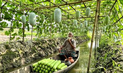 কৃষি পণ্য উৎপাদনে বাংলাদেশের বৈশ্বিক শীর্ষ অবস্থান