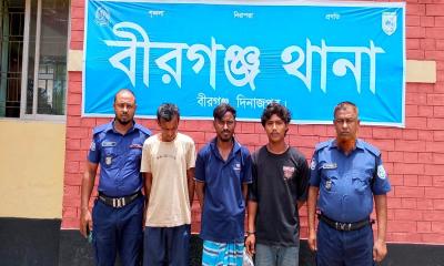মাদকবিরোধী অভিযানে বীরগঞ্জে ৩ জনের কারাদণ্ড