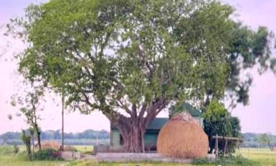 নরসিংদীতে কৃষক নুরুলের সাদামাটা ভাইরাল বাড়ি
