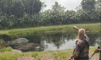 মহেশপুর সীমান্তে বিএসএফের পুশইন চেষ্টা রুখে দিল বিজিবি