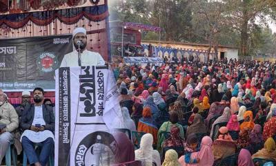 মতিউর রহমানের জনসভায় জনসমুদ্র, বীরগঞ্জে নির্বাচনী আমেজ