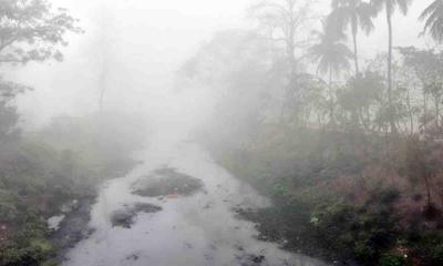 দিনাজপুরে হঠাৎ ঘন কুয়াশা ও হিম বাতাস