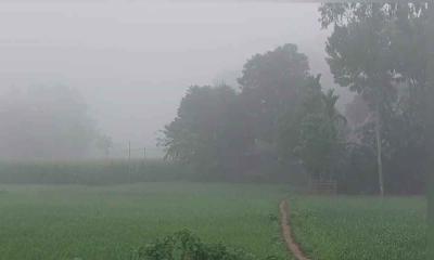 চৈত্র শেষে কুয়াশায় ঢাকা পড়ল পঞ্চগড়