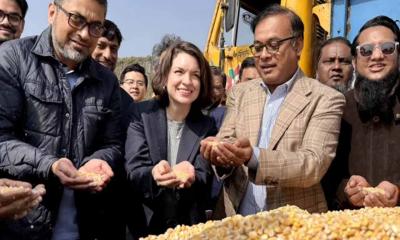 ৮ বছর পর যুক্তরাষ্ট্র থেকে এলো ৫৮ হাজার টন ভুট্টা