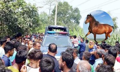 ঘোড়া জবাই করে মাংস বিক্রি ৩ কসাইয়ের কারাদণ্ড