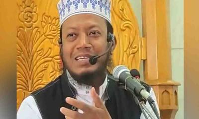 ৭৯ জন মিলে ২১১ জন সংসদ সদস্যকে তীরের মতো সোজা করে রাখবো:আমির হামজা