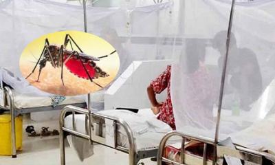 ডেঙ্গু আক্রান্ত হয়ে একদিনে হাসপাতালে ৮৩৪