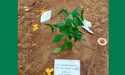 শহীদ ওসমান হাদির সমাধিস্তম্ভ লিপিতে যা লেখা আছে
