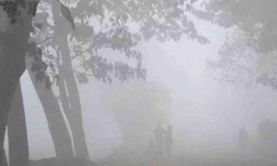 পঞ্চগড়ের তেঁতুলিয়ায় কনকনে শীতের দাপট
