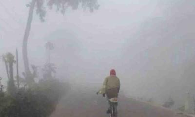 দেশে কবে থেকে শীত বাড়বে? জানাল আবহাওয়া অফিস