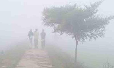 হিমেল বাতাস আর কুয়াশায় কাঁপছে তেঁতুলিয়া
