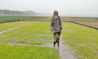 নবাবগঞ্জে হাড়কাঁপানো শীত ও ঘন কুয়াশা