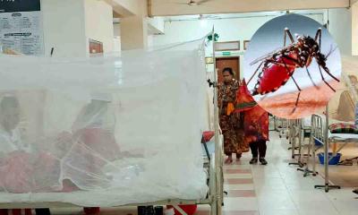 ডেঙ্গুতে আরও ৫ জনের মৃত্যু, হাসপাতালে ভর্তি ৭৯২