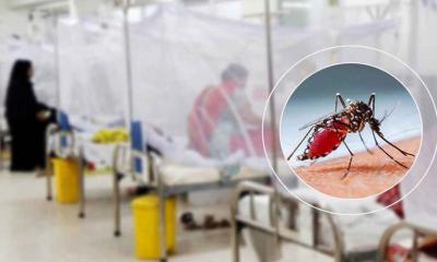 ডেঙ্গুতে আরো ২ জনের মৃত্যু, হাসপাতালে ৩৯৩