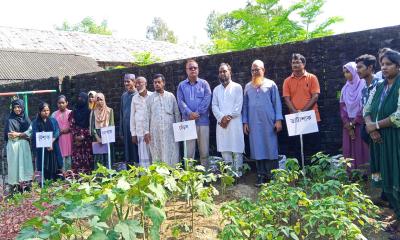 মোহনপুরে জেসি বান্ধব গ্রীন স্কুল উদযাপন, প্রকৃতি ও মানবতার শিক্ষায় নতুন উদ্যোগ