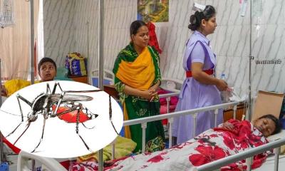 ২৪ ঘণ্টায় ডেঙ্গুতে আক্রান্ত আরও ১৬৫, নেই মৃত্যু