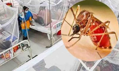 ডেঙ্গুতে আরও ৩ জনের মৃত্যু, হাসপাতালে ভর্তি ৪১১ জন
