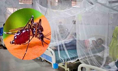 ডেঙ্গুতে আরও ২ জনের মৃত্যু, হাসপাতালে ভর্তি ৬১০ জন