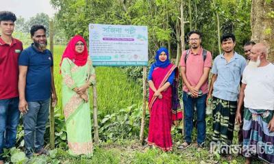 চিরিরবন্দরে গ্রামীণ সড়কে সজিনা রোপণ কার্যক্রমের উদ্বোধন