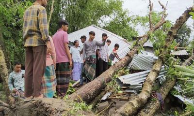ঘরের ওপর গাছ পড়ে মা ও দুই মেয়ের করুণ মৃত্যু