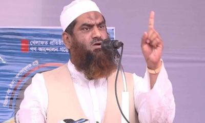 নির্বাচনি হলফনামায় সম্পদের যে বিবরণ দিলেন মামুনুল হক
