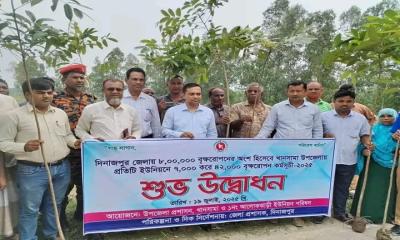 খানসামা উপজেলার  ৪২ হাজার বৃক্ষরোপণ: জেলা প্রশাসকের নির্দেশনায়