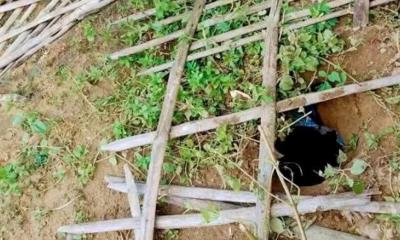 ঠাকুরগাঁওয়ে ১০ কঙ্কাল চুরি: রাণীশংকৈলে চাঞ্চল্য, পুলিশ তদন্তে