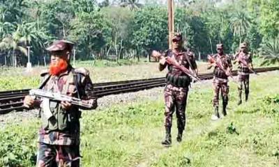 হিলি সীমান্তে চামড়া পাচার রোধে বিজিবির কঠোর নজরদারি