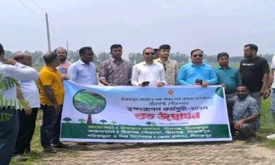 দিনাজপুরে ৮ লাখ চারা রোপণ শুরু: বীরগঞ্জ পৌরসভায় বৃক্ষরোপণ উদ্বোধন