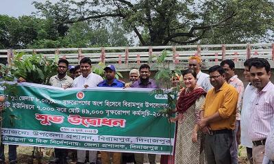 বিরামপুরে বৃক্ষরোপণ কর্মসূচি: পরিবেশ সুরক্ষায় উপজেলা প্রশাসনের উদ্যোগ