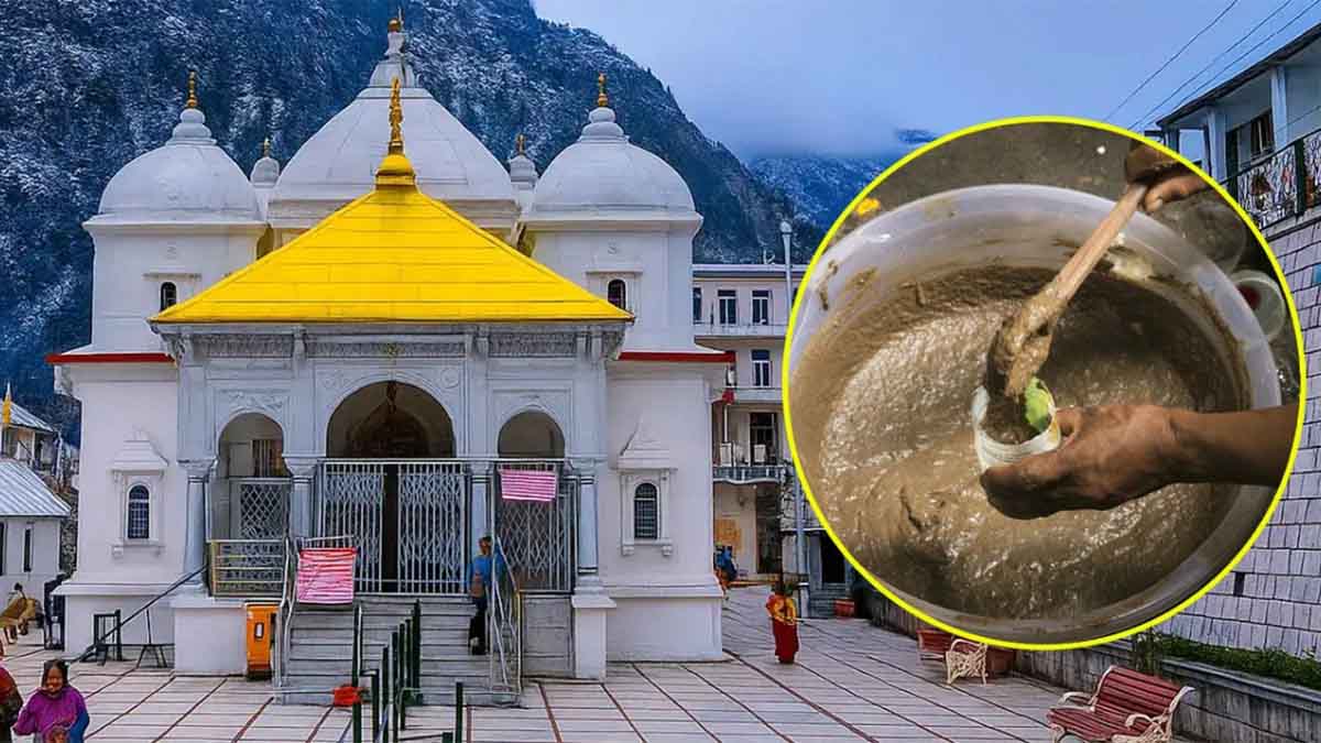 গোমূত্রসহ ‘পঞ্চগব্য’ পান বাধ্যতামূলক করলো ভারতের গঙ্গোত্রী মন্দির
