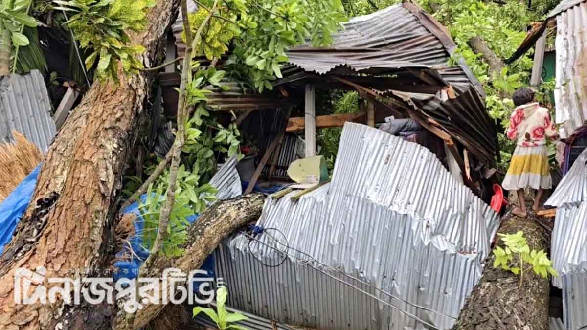 ঠাকুরগাঁওয়ে গভীর রাতে কালবৈশাখীর তাণ্ডব, ব্যাপক ক্ষয়ক্ষতি