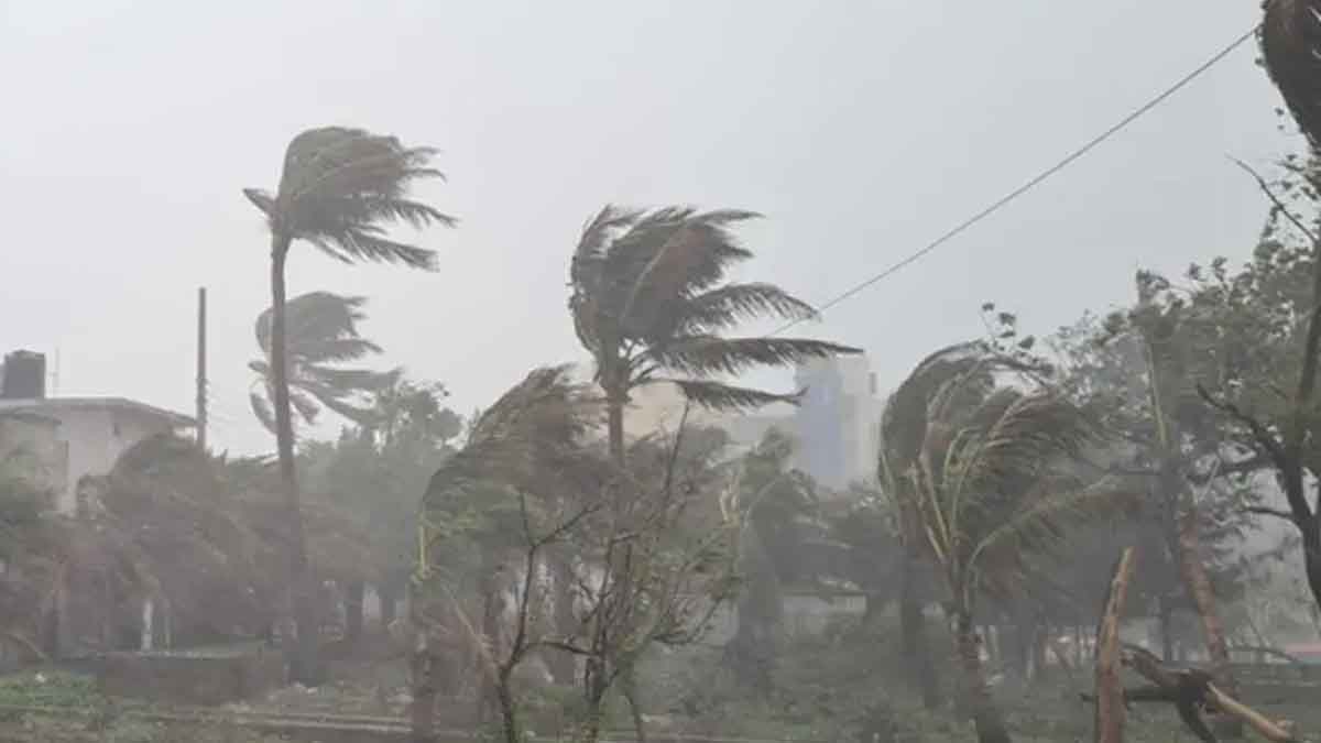দুপুরের মধ্যে যেসব জেলায় ৬০ কিমি বেগে ঝড়ের শঙ্কা