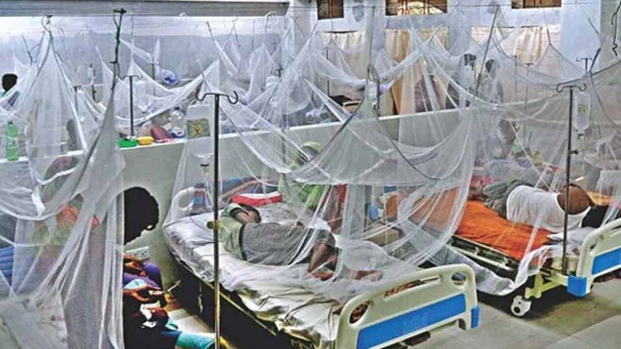 ডেঙ্গু আক্রান্ত হয়ে হাসপাতালে ভর্তি ৩১