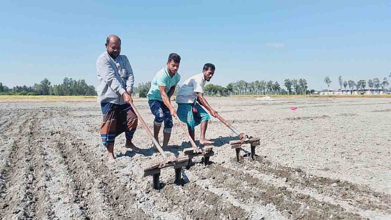 বিরলে আলু বপন কর্মসূচির উদ্বোধন: ‍‍`এবার আবাদে খরচ কম পড়বে‍‍`