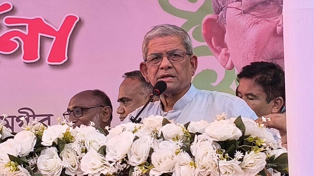 দেশে সুন্দর, সুষ্ঠু ও সহনশীল রাজনীতি চাই: মির্জা ফখরুল