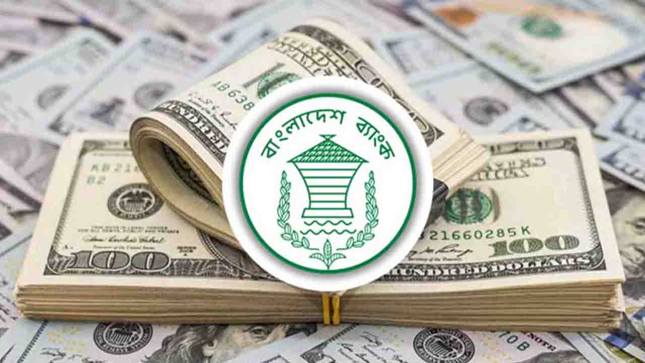 নভেম্বরের ১২ দিনে রেমিট্যান্স কত এলো ?