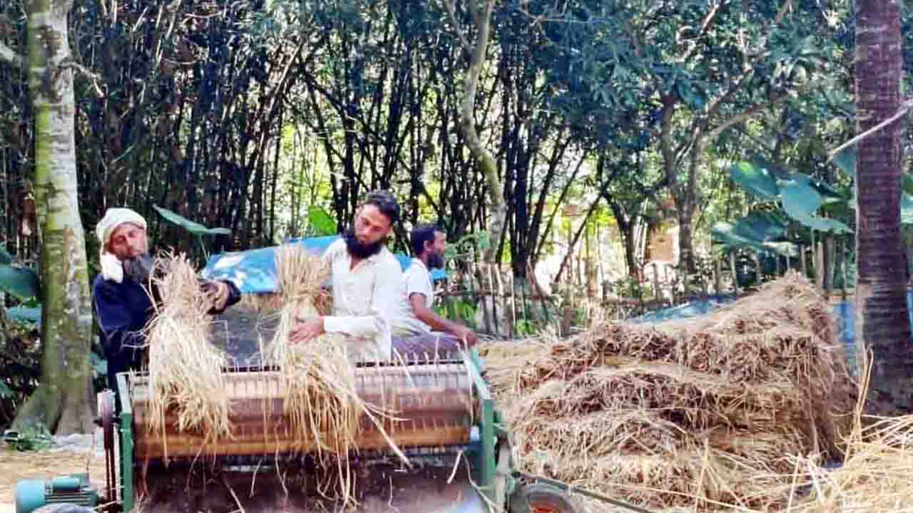 বিরামপুরে নবান্নের উৎসবমুখর আমেজ