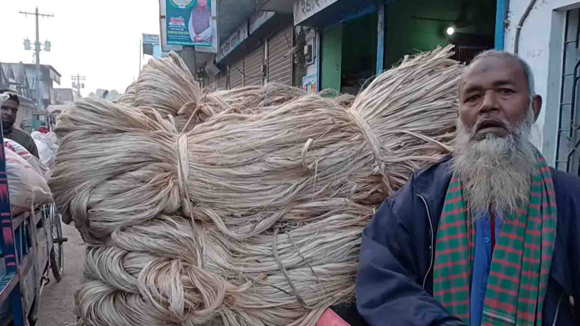 নাটোরের চাঁচকৈড় বাজারে পাটের দাম সামান্য বেড়ে সর্বোচ্চ ৪২৫০ টাকা