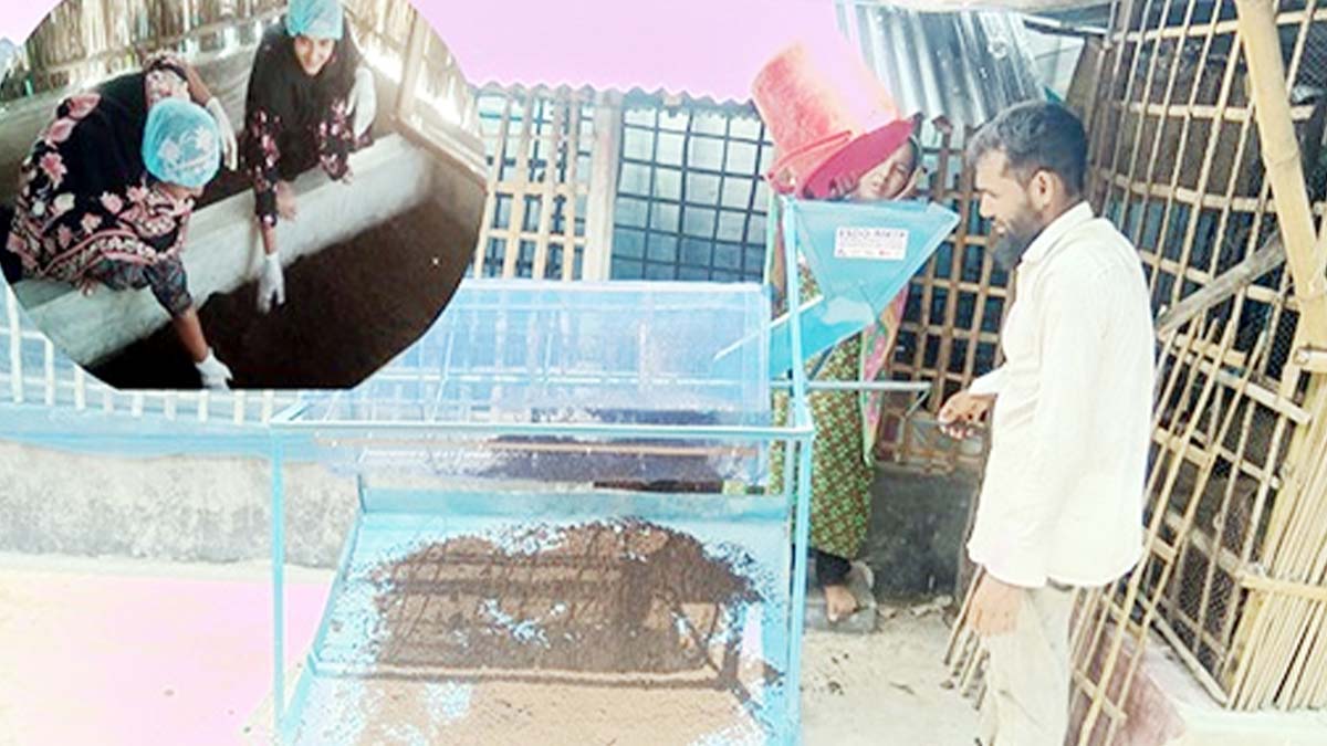 রানীশংকৈলে কেঁচো সারে নুরেশার ভাগ্যবদল, মাসে আয় লাখ টাকা