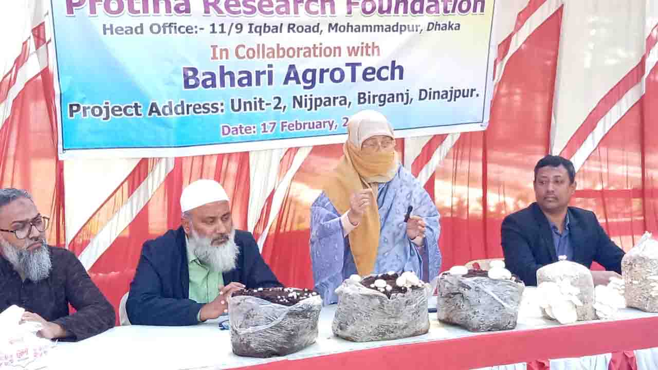 বীরগঞ্জে দেশীয় প্রযুক্তিতে বাটন মাশরুম চাষে সাফল্য