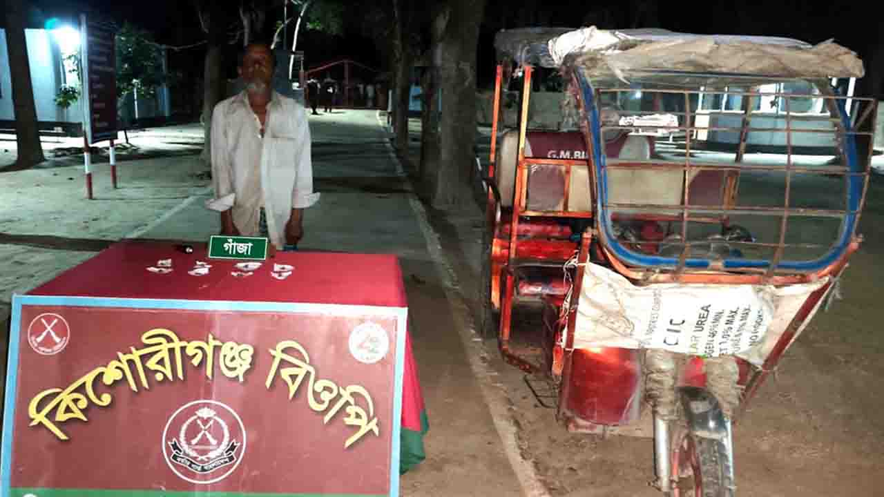 হিলিতে বিজিবির অভিযানে ১১ লাখ টাকার মাদক উদ্ধার