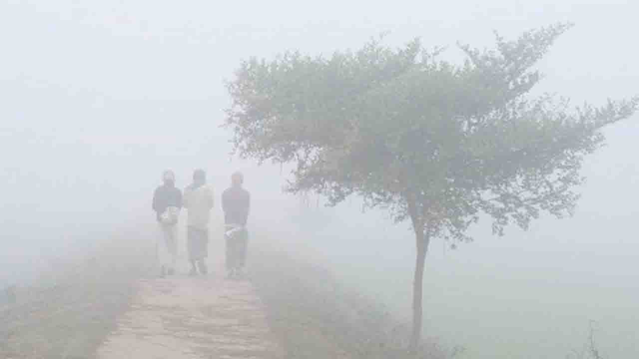 ফের বাড়তে পারে শীতের তীব্রতা, জানাল আবহাওয়া অফিস