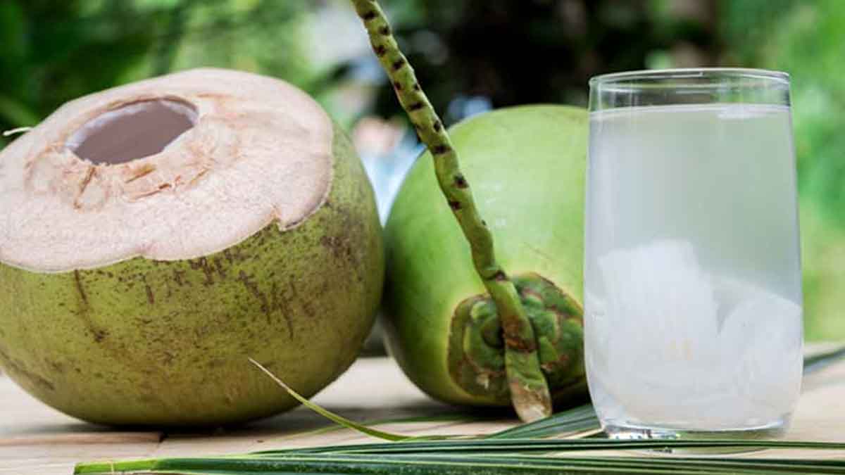 হার্টের রোগীদের জন্য ডাবের পানি কি সত্যিই ক্ষতিকর?