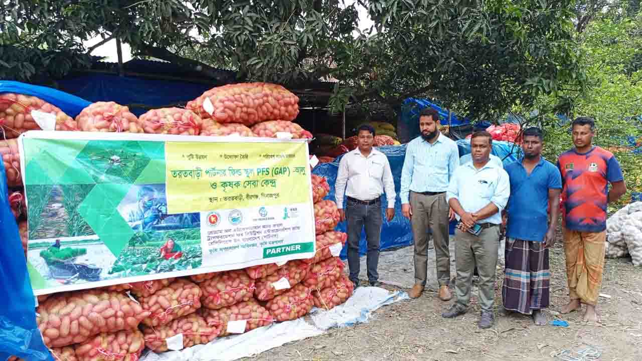 বীরগঞ্জের উৎপাদিত আলু যাচ্ছে বিদেশে