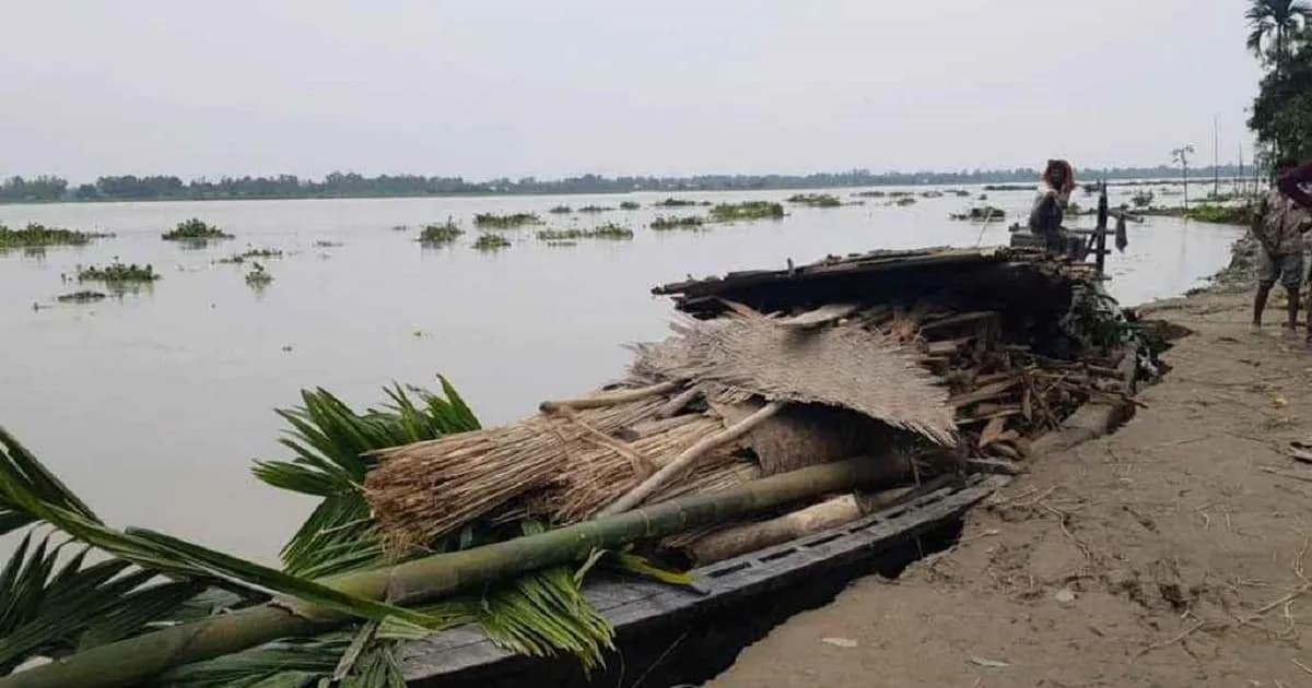 কুড়িগ্রামে চার নদীর ভাঙন দিশেহারা নদীতীরের মানুষ