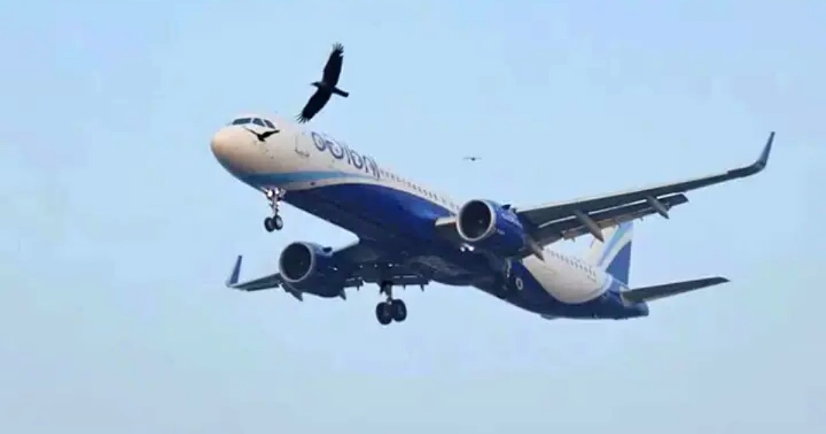ভারতীয় বিমানের জন্য আকাশসীমা বন্ধের মেয়াদ বাড়াল পাকিস্তান