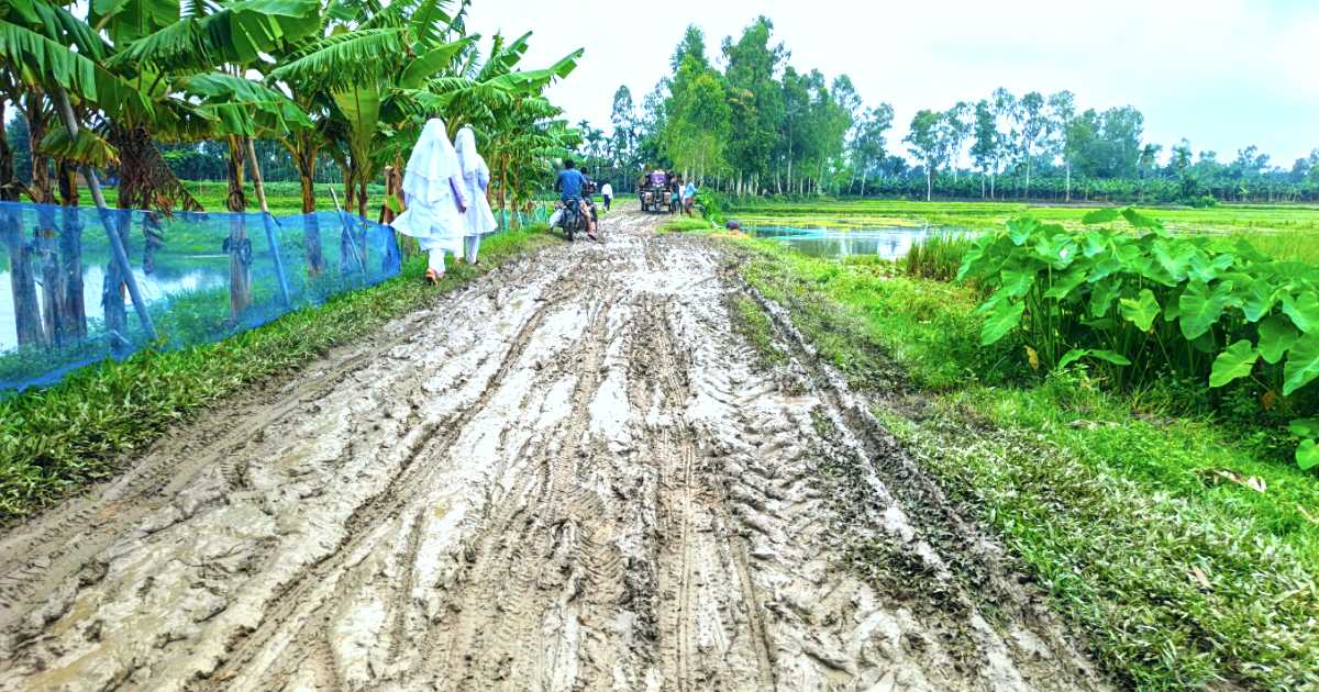 বীরগঞ্জে কাদাযুক্ত সড়কে জনদুর্ভোগ সংস্কারের দাবি
